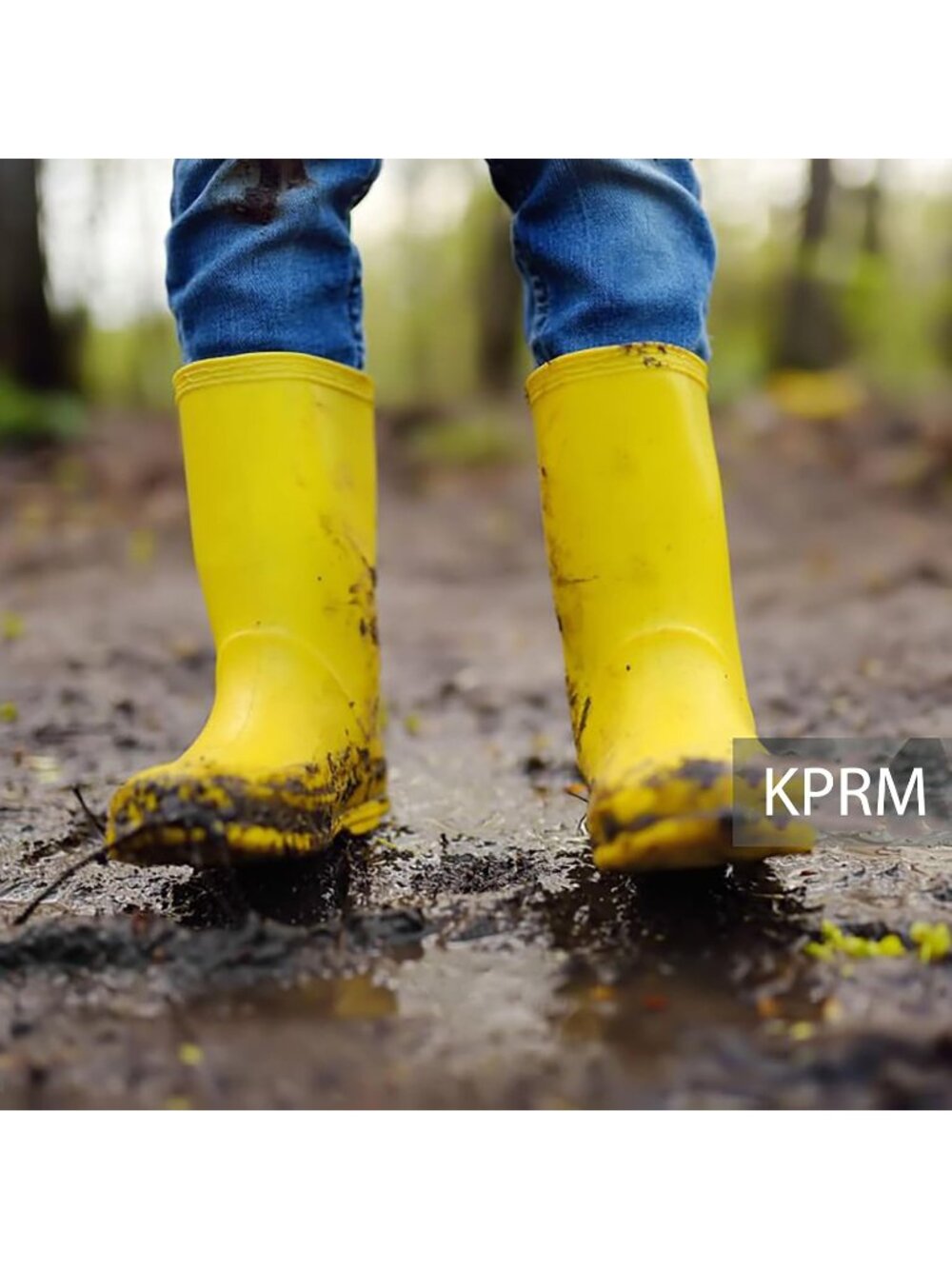 Women's Chickens Yellow Rain Boots Waterproof Mid Calf Rubber Garden Shoes - Picture 3 of 4